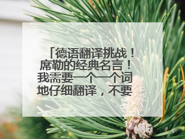 德语翻译挑战！席勒的经典名言！我需要一个一个词地仔细翻译，不要那种意译