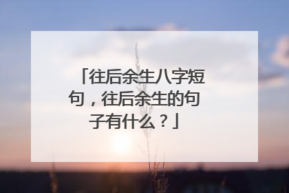 往后余生八字短句,往后余生的句子有什么?