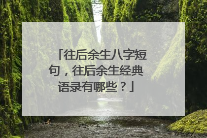 往后余生八字短句，往后余生经典语录有哪些？