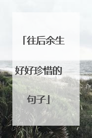往后余生好好珍惜的句子