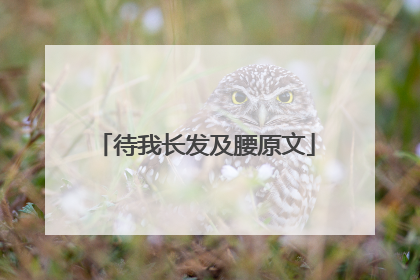 待我长发及腰原文