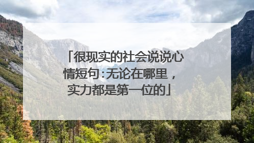 很现实的社会说说心情短句:无论在哪里,实力都是第一位的