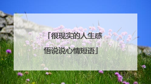 很现实的人生感悟说说心情短语