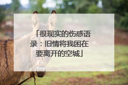 很现实的伤感语录:旧情将我困在要离开的空城