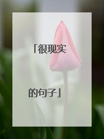 很现实的句子