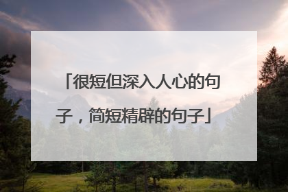 很短但深入人心的句子,简短精辟的句子