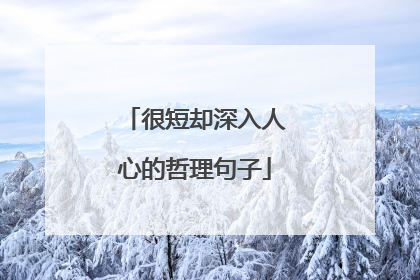 很短却深入人心的哲理句子