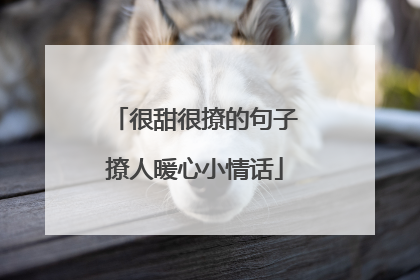 很甜很撩的句子撩人暖心小情话