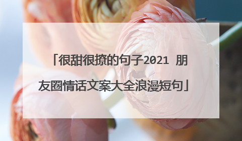 很甜很撩的句子2021 朋友圈情话文案大全浪漫短句
