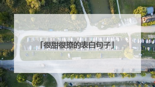 很甜很撩的表白句子