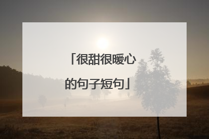 很甜很暖心的句子短句