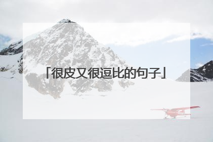 很皮又很逗比的句子