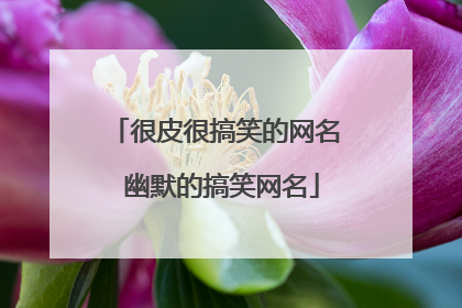 很皮很搞笑的网名 幽默的搞笑网名