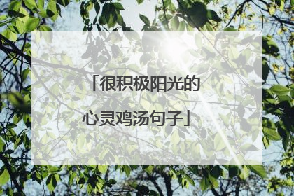 很积极阳光的心灵鸡汤句子