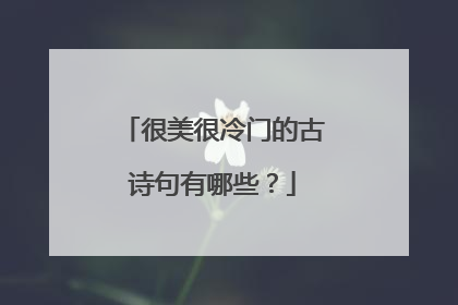 很美很冷门的古诗句有哪些？
