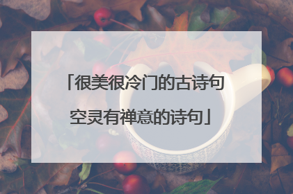 很美很冷门的古诗句 空灵有禅意的诗句