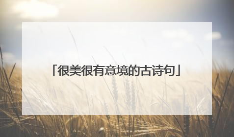 很美很有意境的古诗句