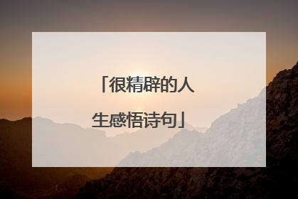 很精辟的人生感悟诗句