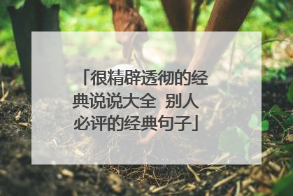很精辟透彻的经典说说大全 别人必评的经典句子