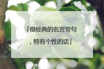 很经典的名言警句,特有个性的话