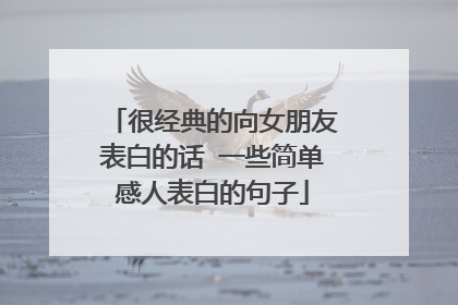 很经典的向女朋友表白的话 一些简单感人表白的句子