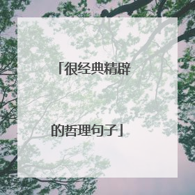 很经典精辟的哲理句子