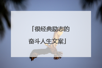 很经典励志的奋斗人生文案