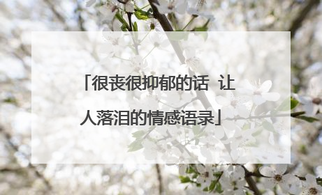 很丧很抑郁的话 让人落泪的情感语录