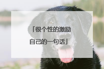 很个性的激励自己的一句话