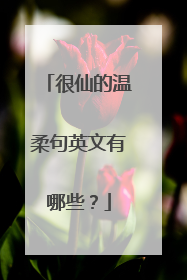 很仙的温柔句英文有哪些？