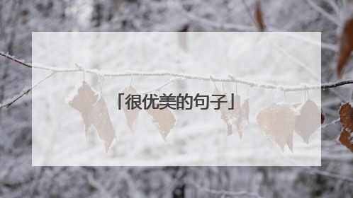 很优美的句子