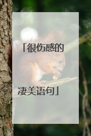 很伤感的凄美语句