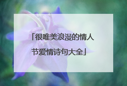 很唯美浪漫的情人节爱情诗句大全