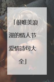 很唯美浪漫的情人节爱情诗句大全