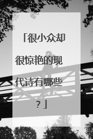 很小众却很惊艳的现代诗有哪些?