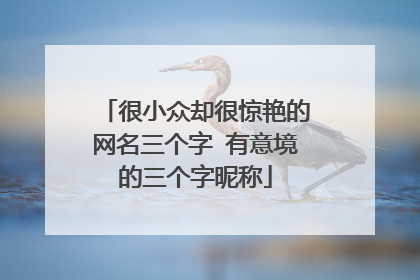 很小众却很惊艳的网名三个字 有意境的三个字昵称