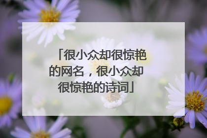 很小众却很惊艳的网名,很小众却很惊艳的诗词