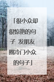 很小众却很惊艳的句子 发朋友圈冷门小众的句子