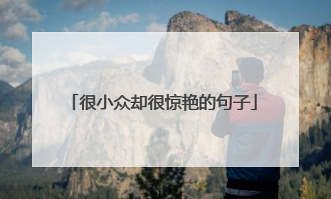 很小众却很惊艳的句子
