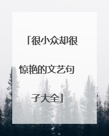 很小众却很惊艳的文艺句子大全