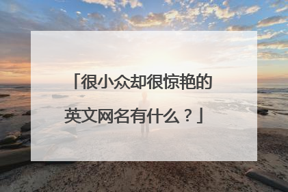 很小众却很惊艳的英文网名有什么?