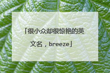 很小众却很惊艳的英文名,breeze