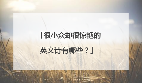 很小众却很惊艳的英文诗有哪些？