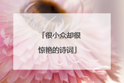 很小众却很惊艳的诗词