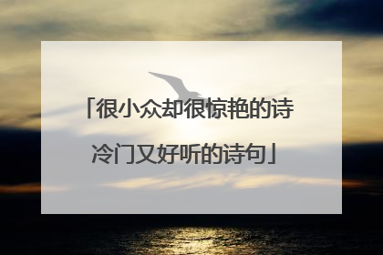 很小众却很惊艳的诗 冷门又好听的诗句