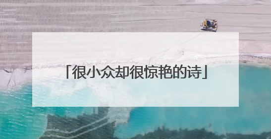 很小众却很惊艳的诗