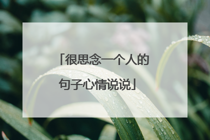 很思念一个人的句子心情说说