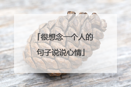 很想念一个人的句子说说心情