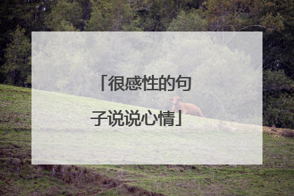 很感性的句子说说心情