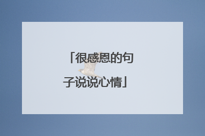 很感恩的句子说说心情